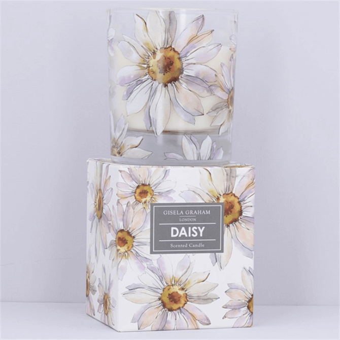 Gisela Graham Daisy Scented Boxed Candle